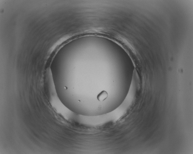 X0000084601308200703091918