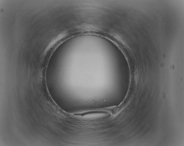 X0000084601309200703091918