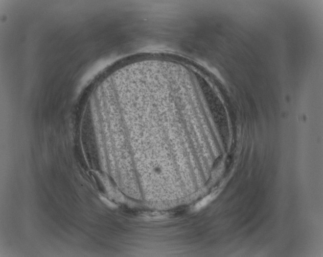 X0000084601311200703091918