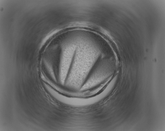 X0000084601312200703091918