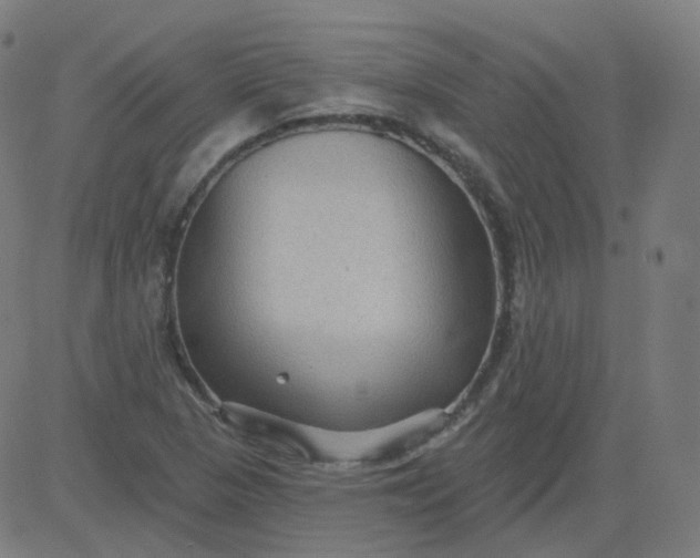 X0000084601313200703091918