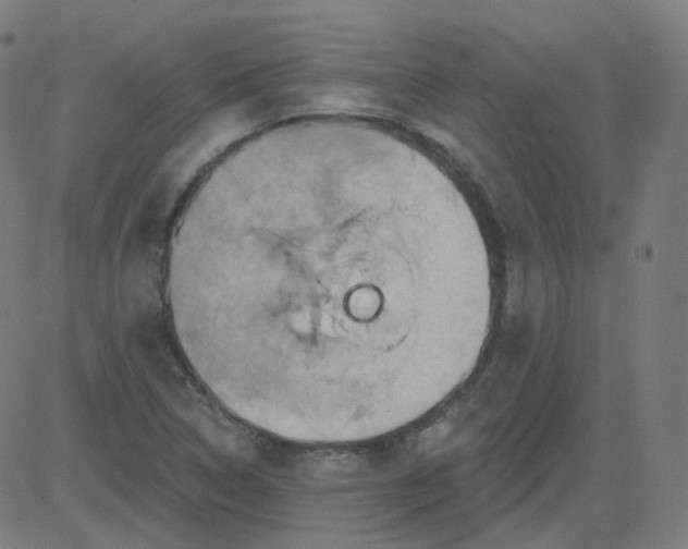 X0000084601314200703091918