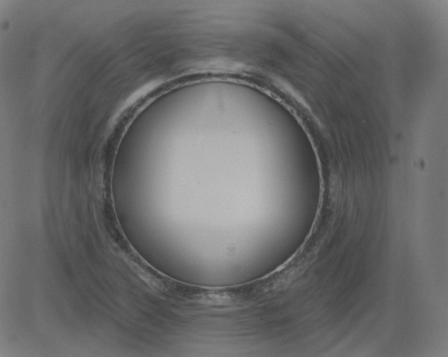 X0000084601315200703091918