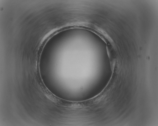 X0000084601316200703091918