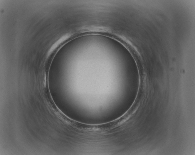 X0000084601317200703091918