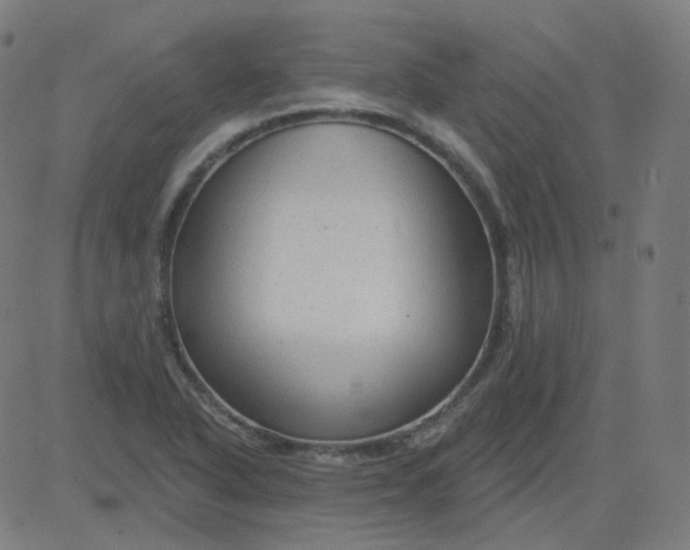 X0000084601318200703091918