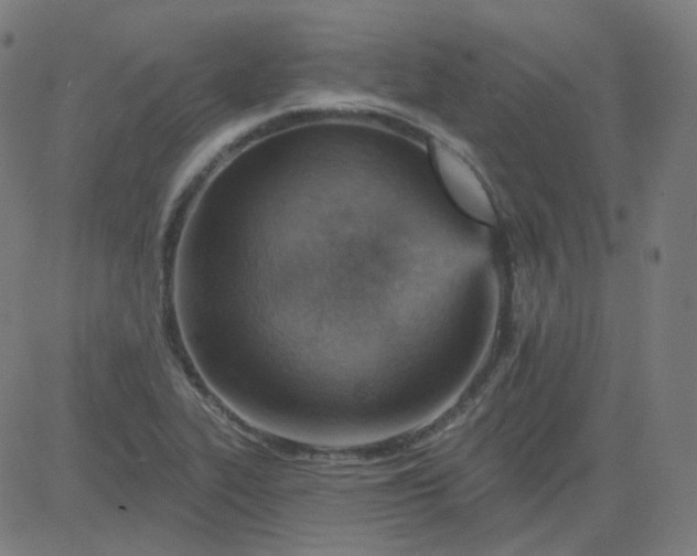 X0000084601319200703091918