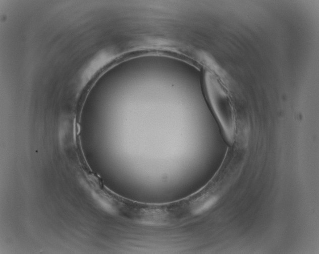 X0000084601320200703091918