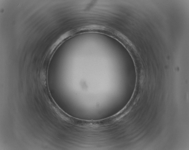 X0000084601321200703091918