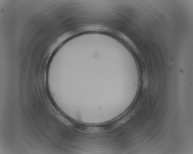 X0000084601322200703091919