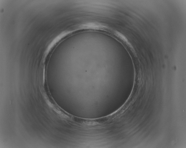 X0000084601323200703091919