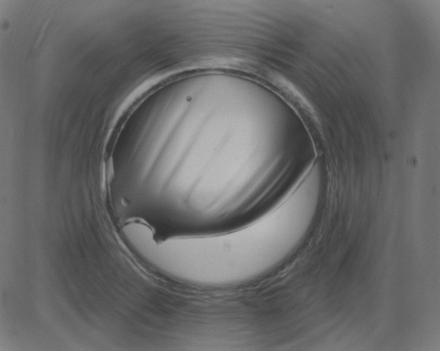 X0000084601324200703091919