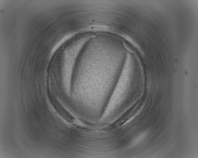 X0000084601325200703091919