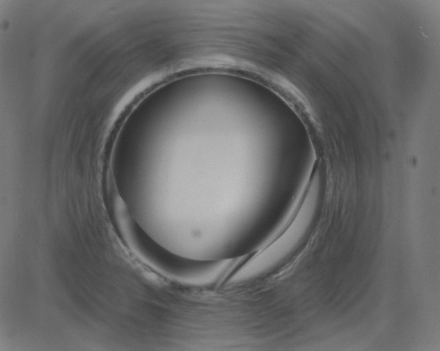 X0000084601326200703091919