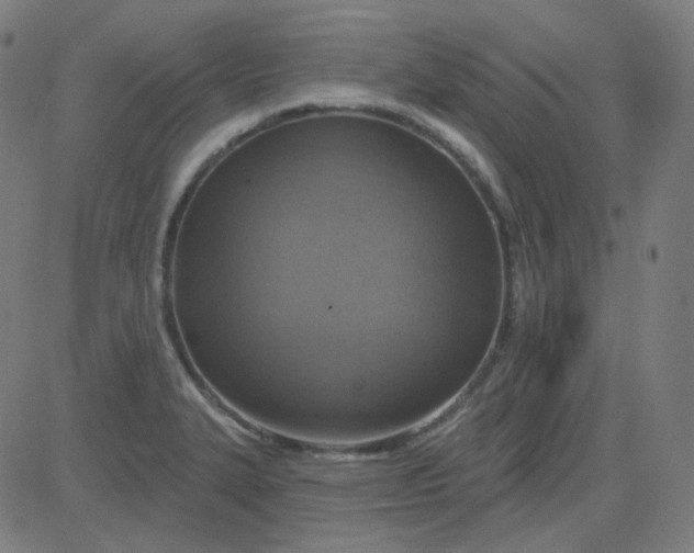 X0000084601327200703091919