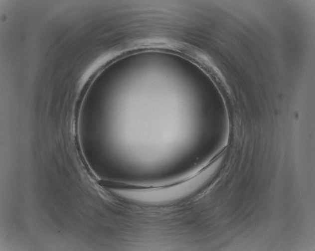 X0000084601328200703091919