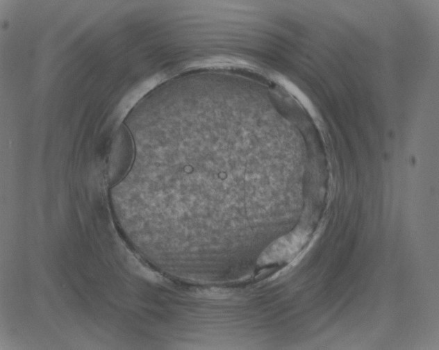 X0000084601329200703091919