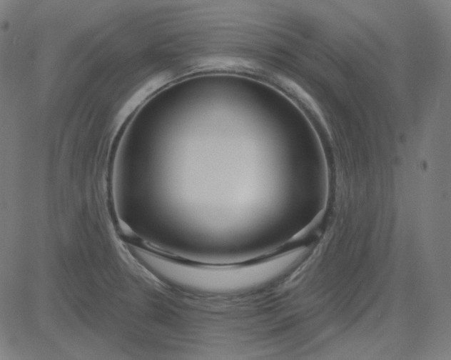 X0000084601330200703091919