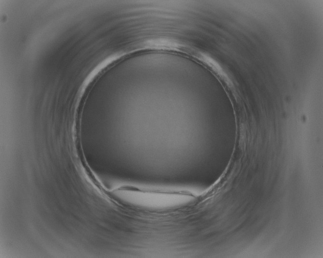 X0000084601331200703091919