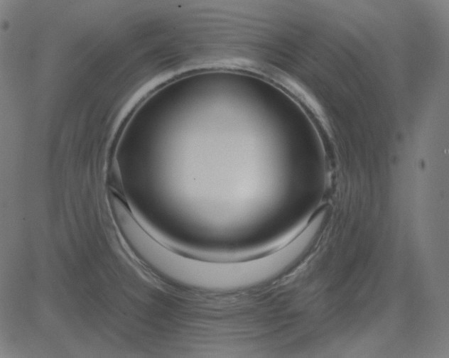 X0000084601332200703091919