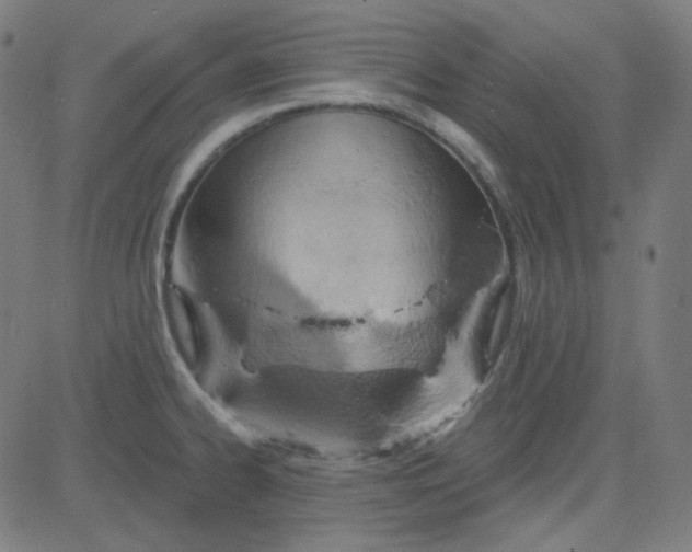 X0000084601334200703091919