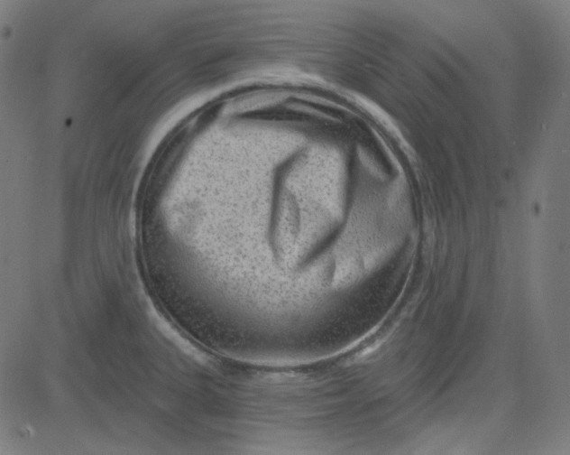 X0000084601335200703091919