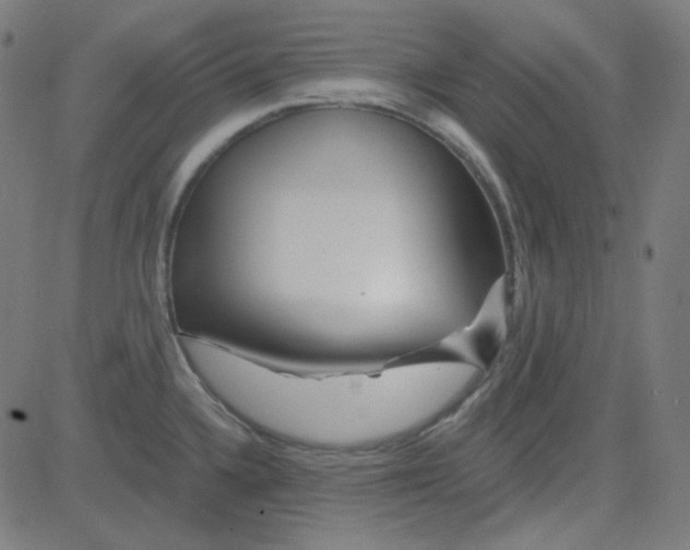 X0000084601336200703091919