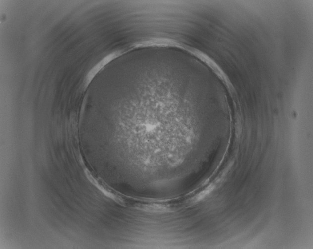 X0000084601337200703091919