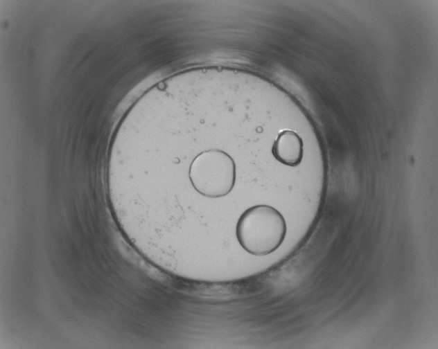 X0000084601338200703091919