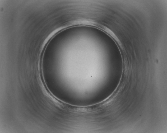 X0000084601339200703091919