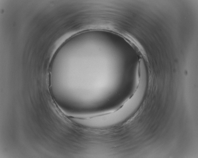 X0000084601340200703091919