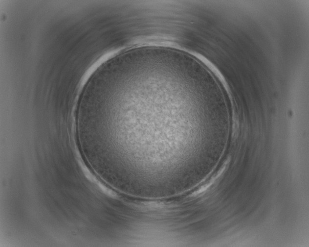 X0000084601341200703091919