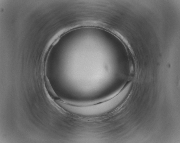 X0000084601342200703091919