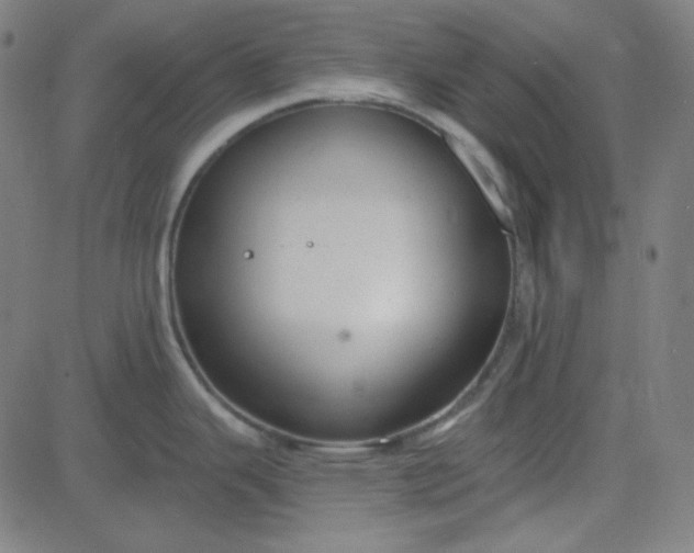 X0000084601343200703091919