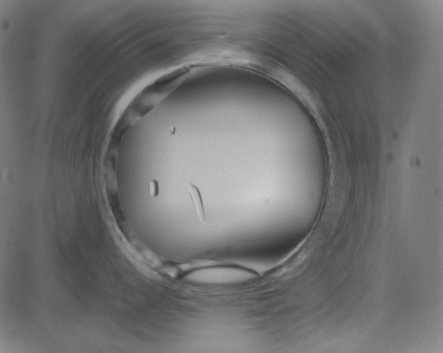 X0000084601344200703091919