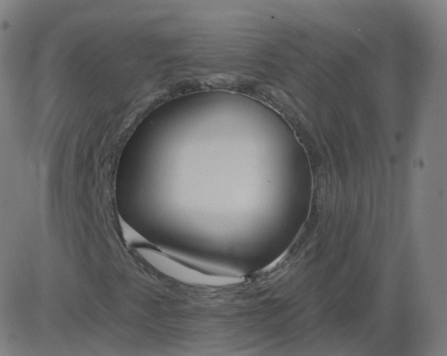 X0000084601345200703091918