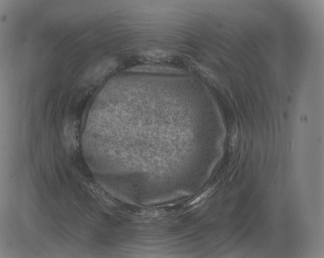 X0000084601346200703091918