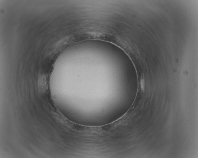 X0000084601347200703091918