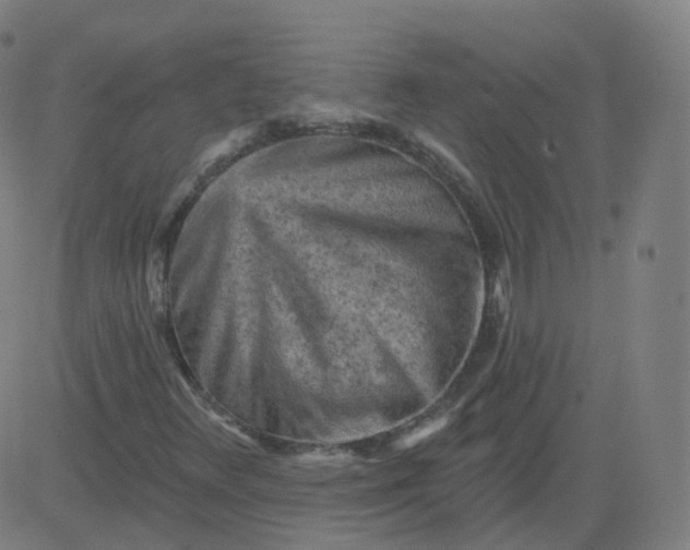 X0000084601348200703091918