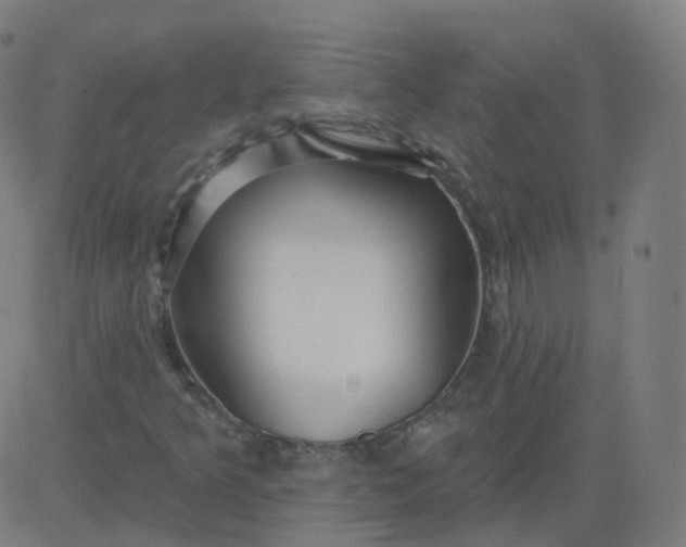 X0000084601349200703091918