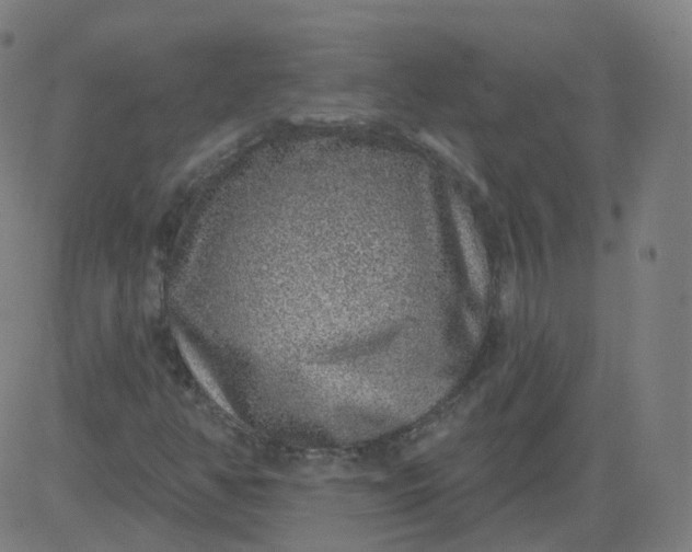 X0000084601350200703091918