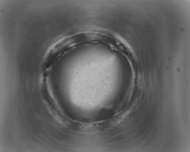 X0000084601352200703091918