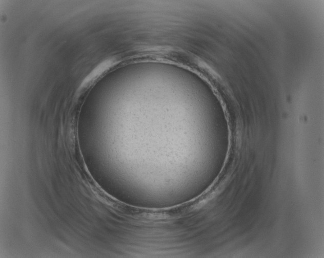 X0000084601354200703091918