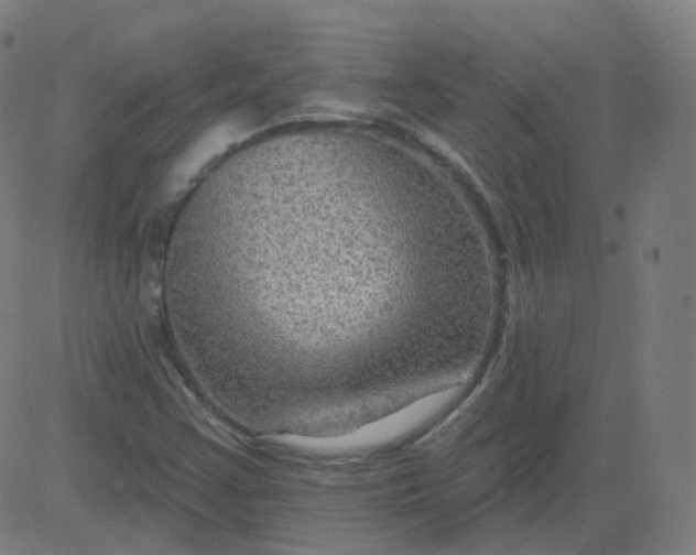 X0000084601355200703091918