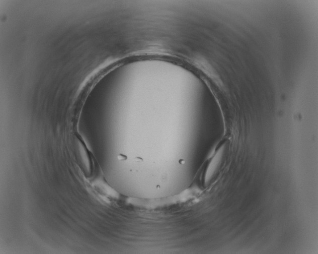 X0000084601356200703091918