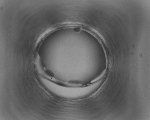 X0000084601357200703091918