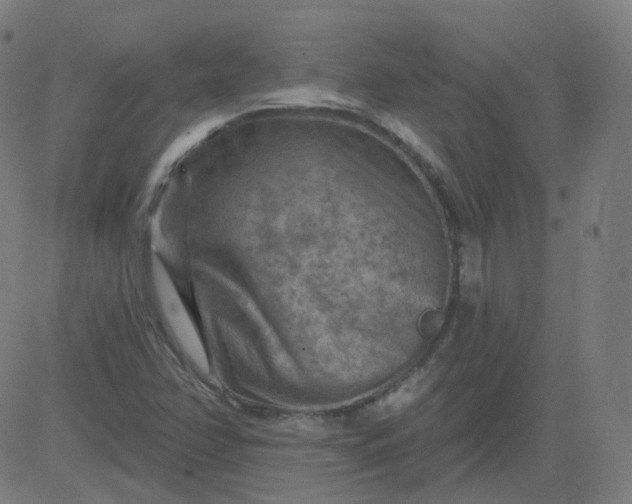 X0000084601358200703091918