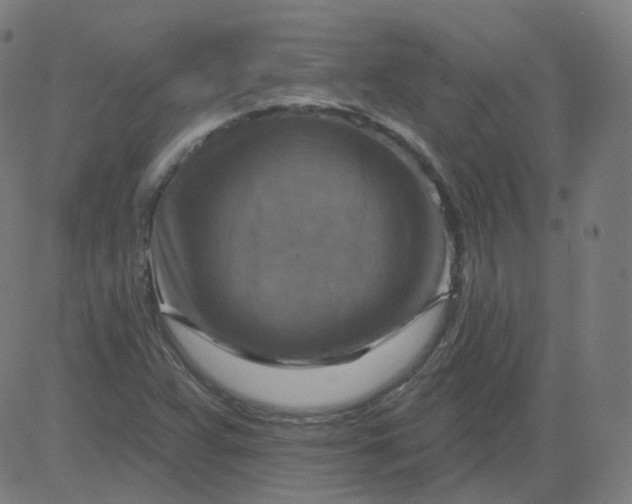 X0000084601359200703091918