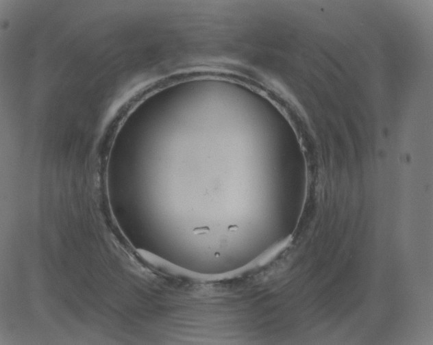 X0000084601360200703091918