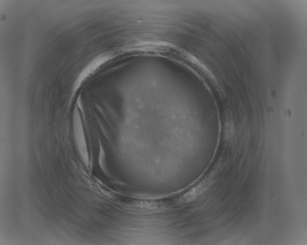 X0000084601362200703091918